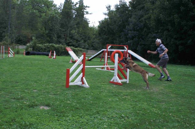 agility 2011-09